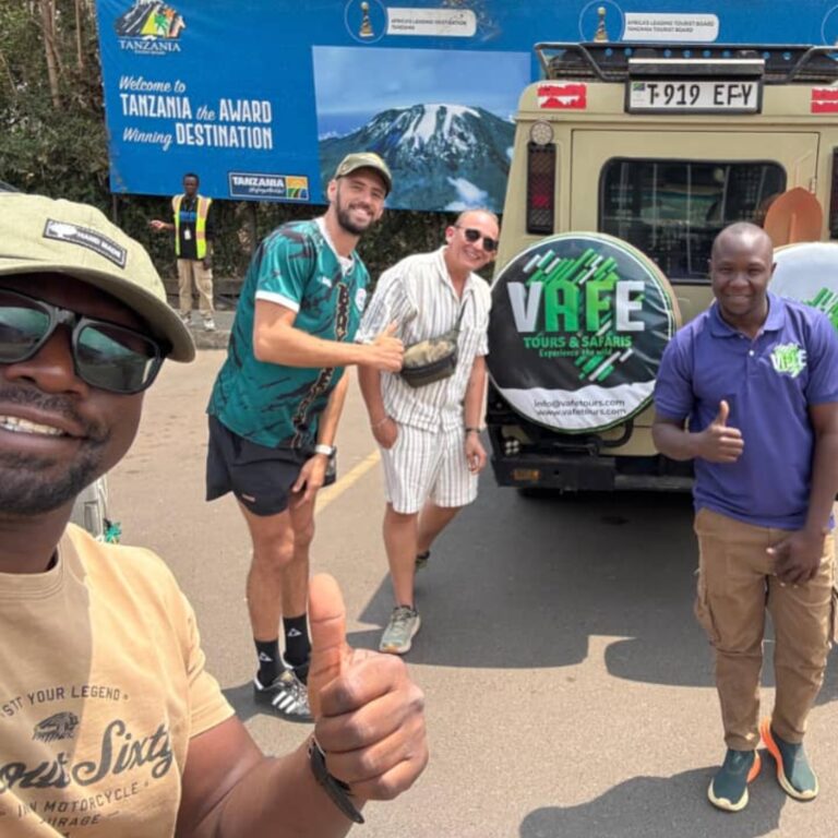 An Unforgettable Tanzania Safari Adventure with Vafe Tours
