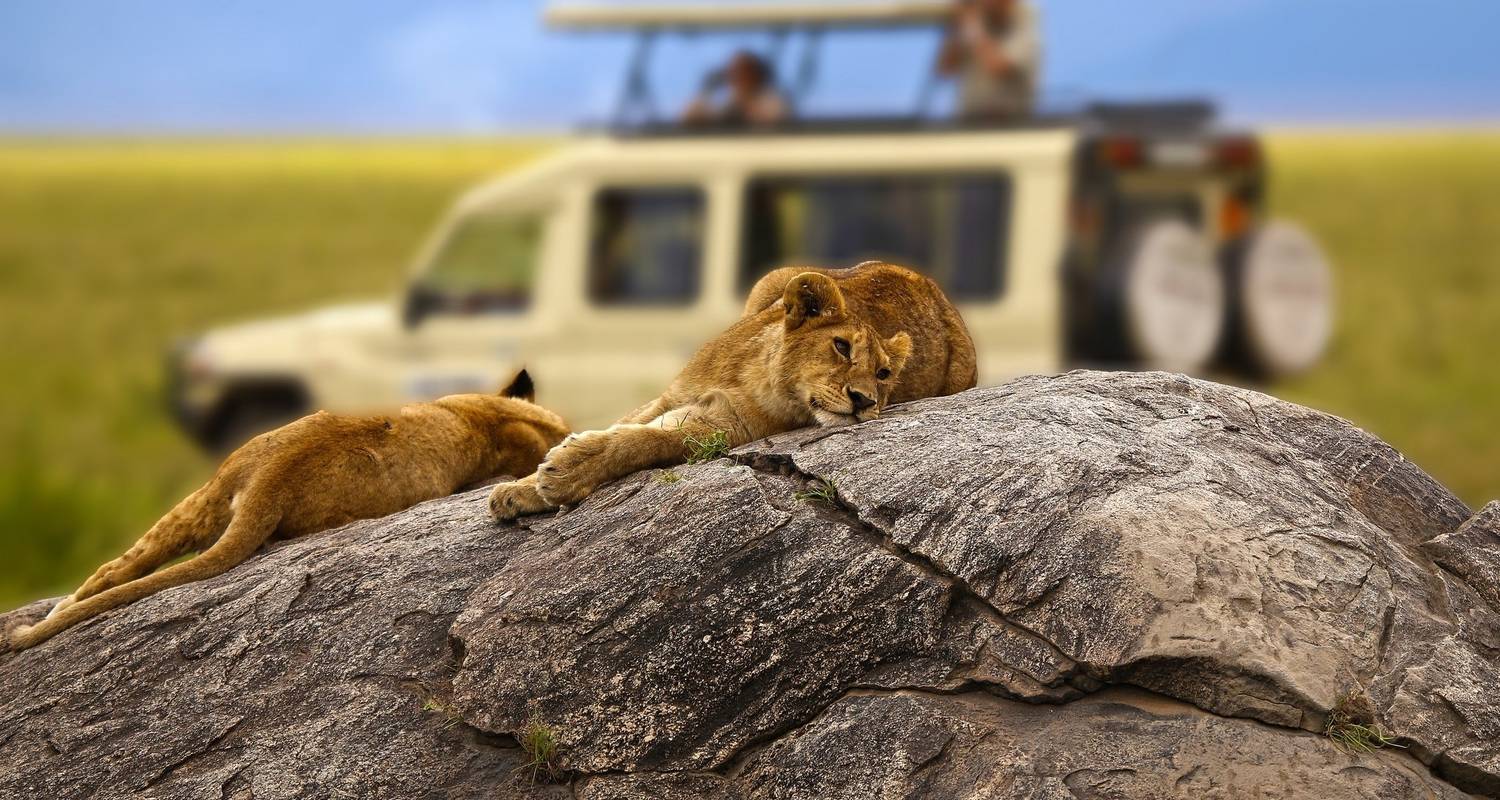 Tanzania Travel Seasons Explained: When to Go for the Best Experience