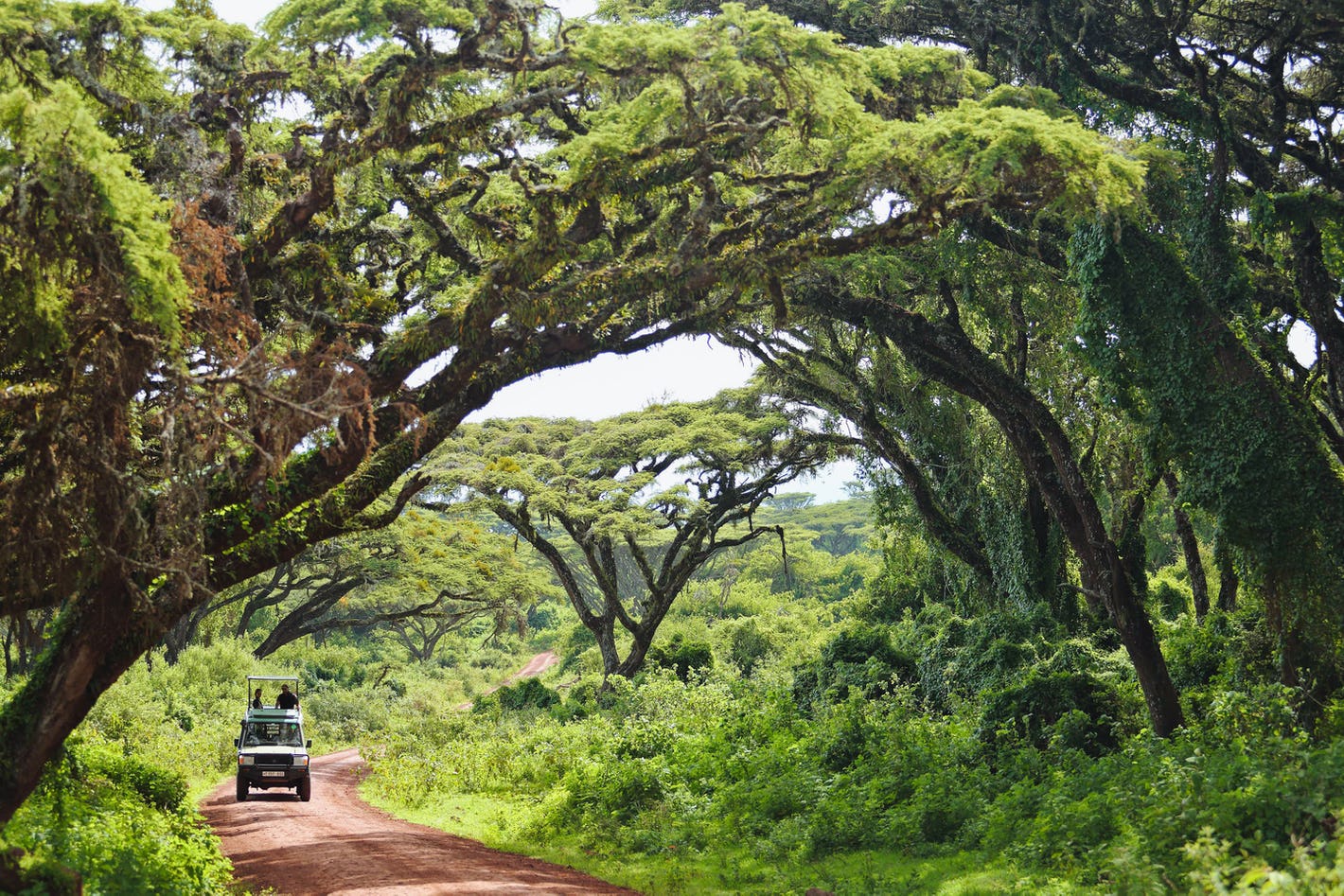 5 Must-Visit Places in Tanzania for an Unforgettable Adventure