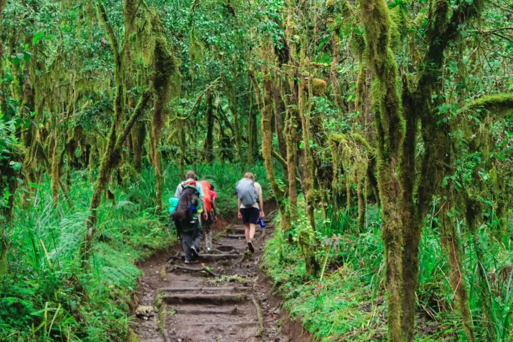 kili-marangu